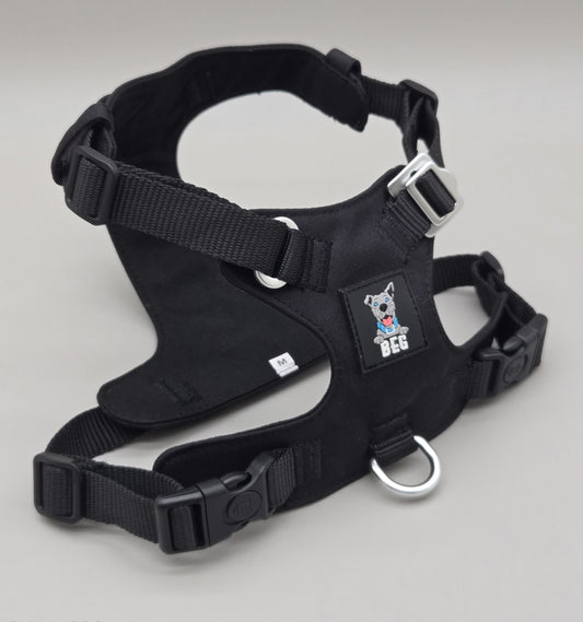 Adventure Luxe – Bold Lightweight Luxury Harness