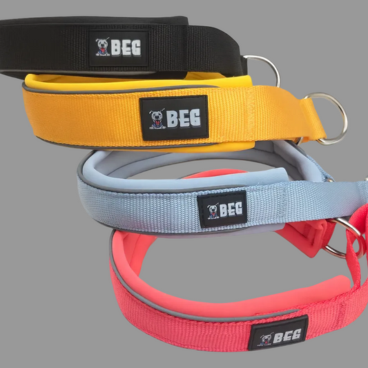 BEG SnugSafe Luxe – Premium, No-slip, padded Martingale Collar