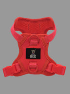 BEG Voyager Pop Series Harness
