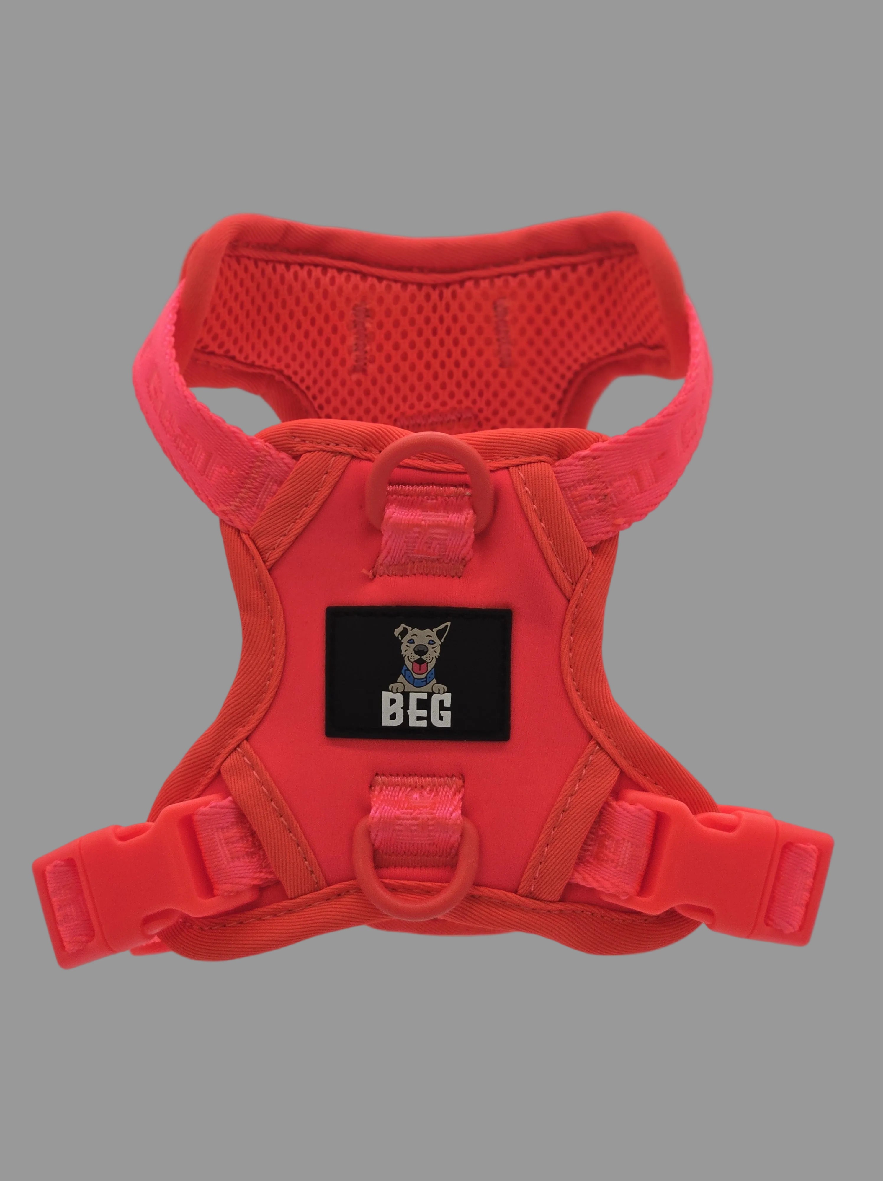 BEG Voyager Pop Series Harness