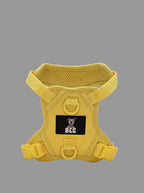 BEG Voyager Pop Series Harness