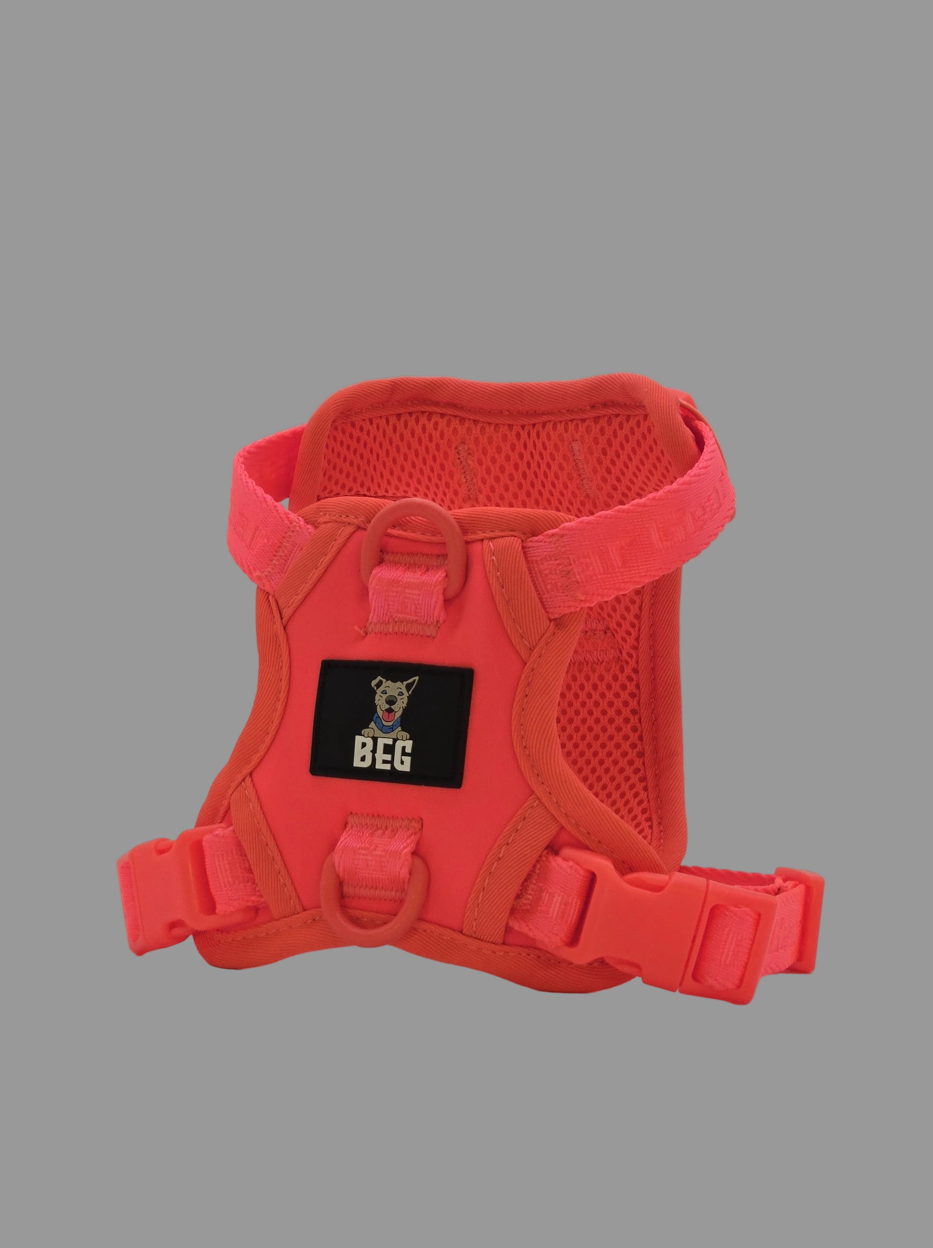 BEG Voyager Pop Series Harness
