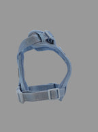 BEG Voyager Pop Series Harness