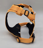 Adventure Luxe – Bold Lightweight Luxury Harness