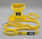 BEG Voyager Pop Series Adjustable Collar