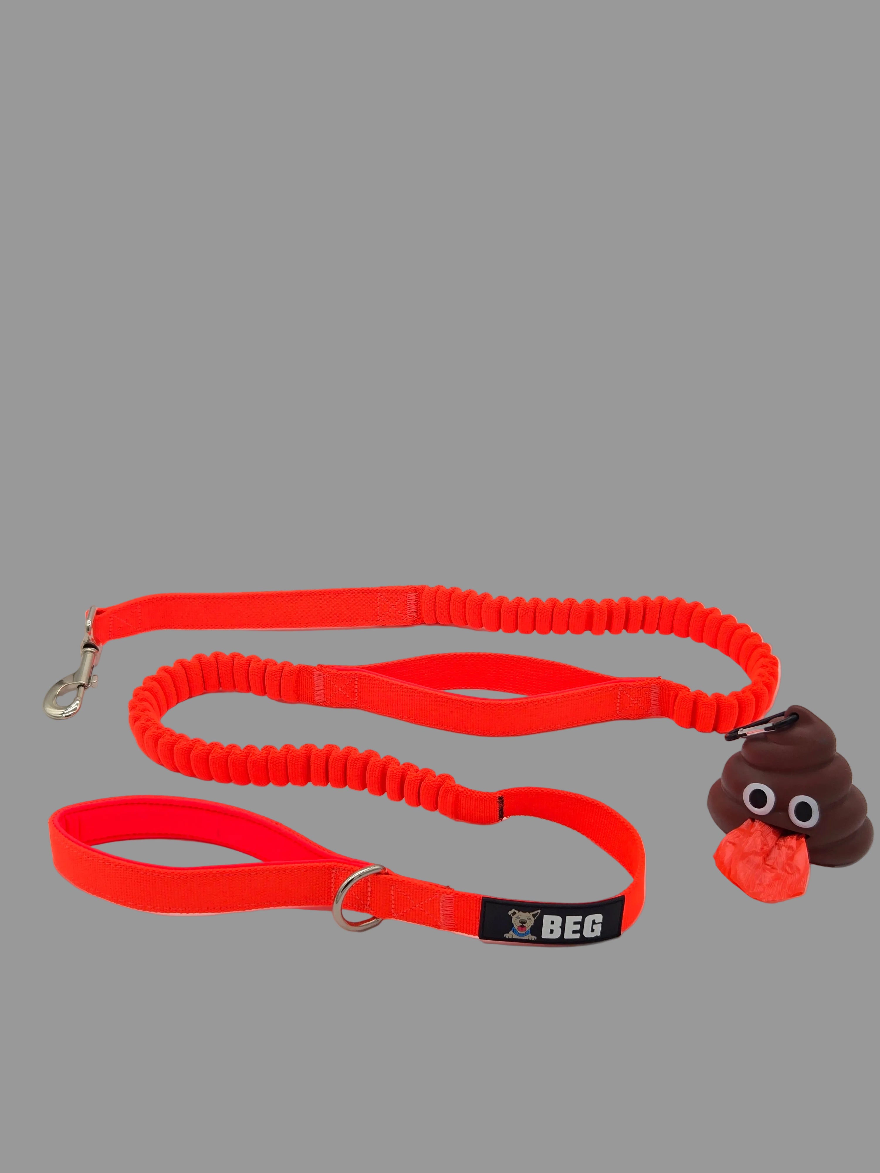 Bungee Buddy Leash (Pop Series)
