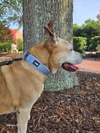 SnugSafe Luxe – Premium, No-slip, padded Martingale Collar