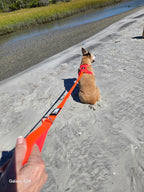 BEG Voyager Pop Series Harness