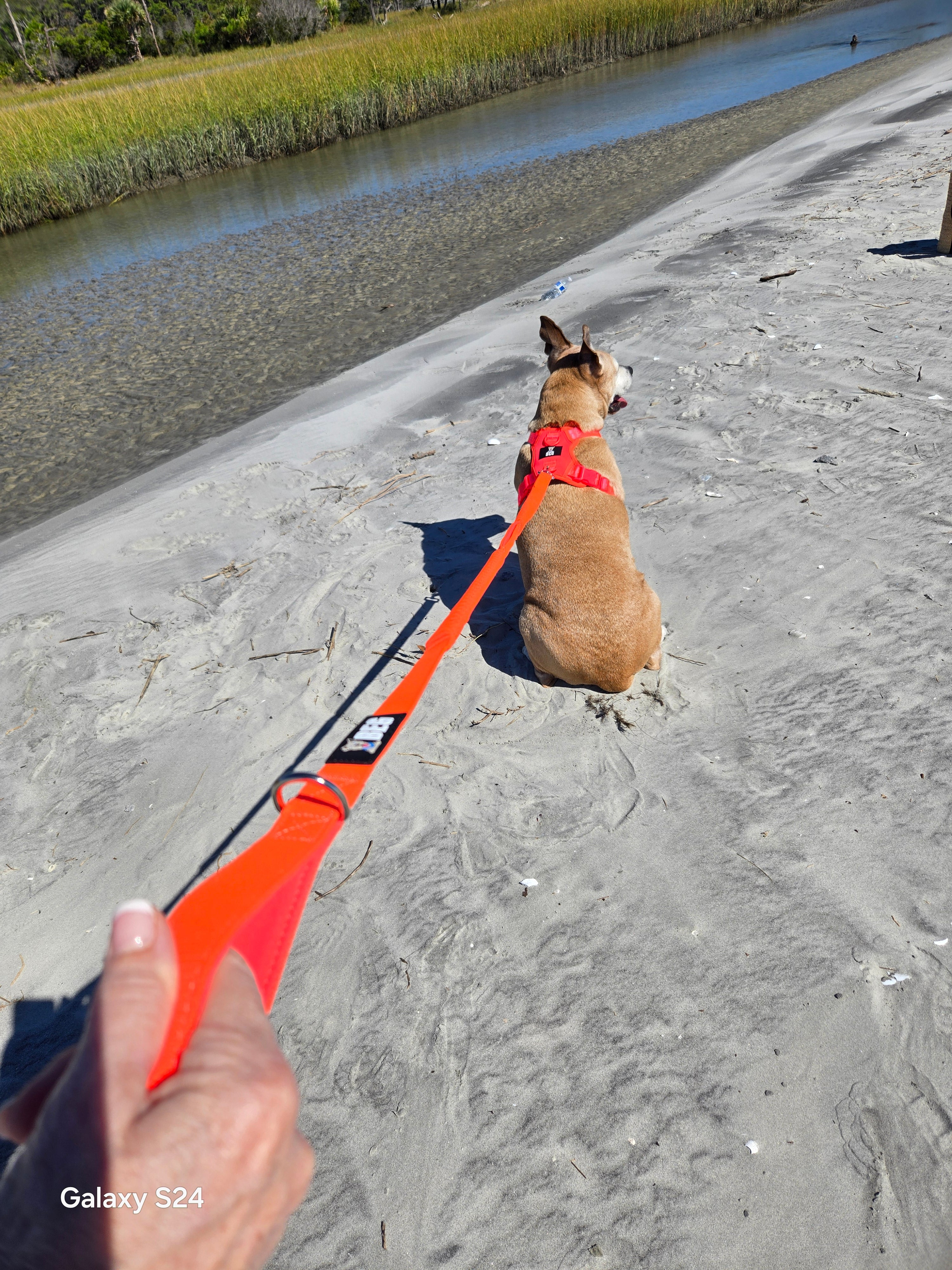 BEG Voyager Pop Series Harness