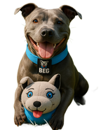 Squeaky McBent – Plush Squeaky Ball