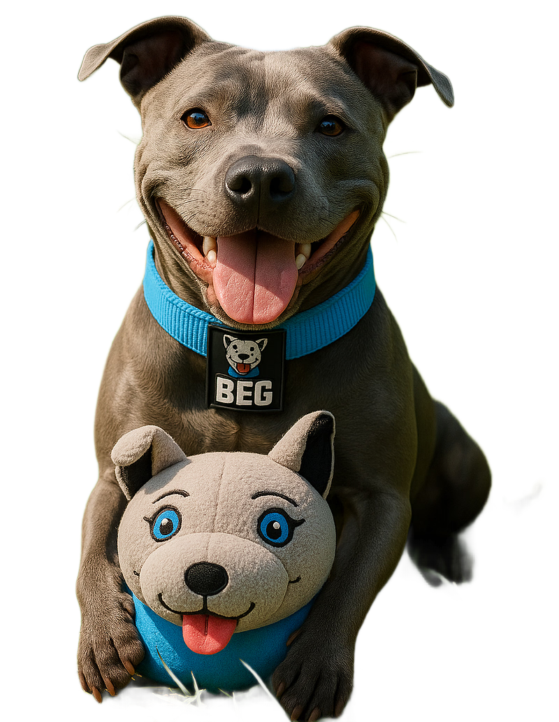 Squeaky McBent – Plush Squeaky Ball