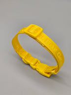 BEG Voyager Pop Series Adjustable Collar